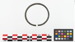 Foto von Bronzearmreif (NHMW-PRAE-023704)